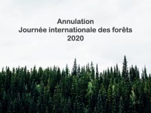 Jif Annulation